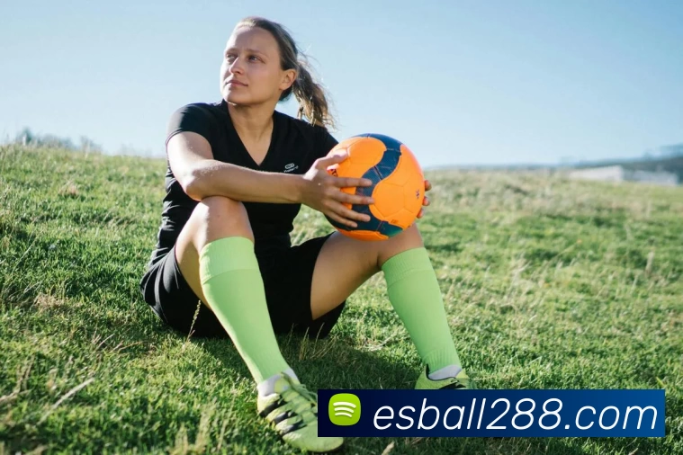 esballE世博官网平台生态图