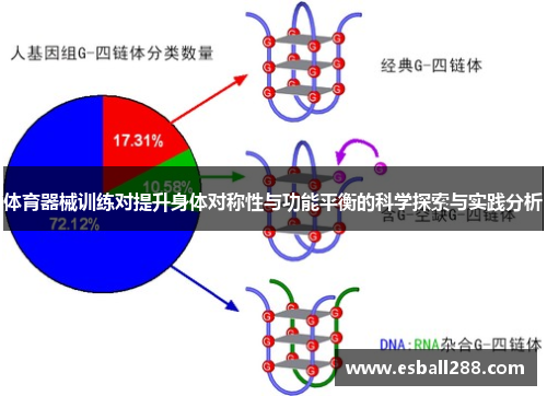 体育器械训练对提升身体对称性与功能平衡的科学探索与实践分析