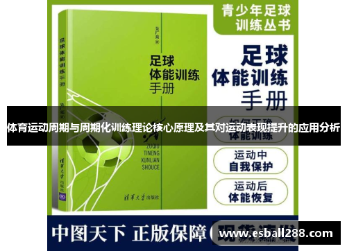 体育运动周期与周期化训练理论核心原理及其对运动表现提升的应用分析